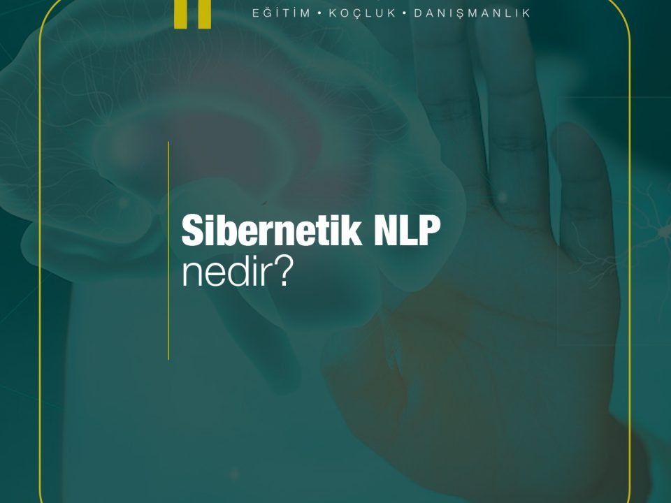Sibernetik Nlp Nedir