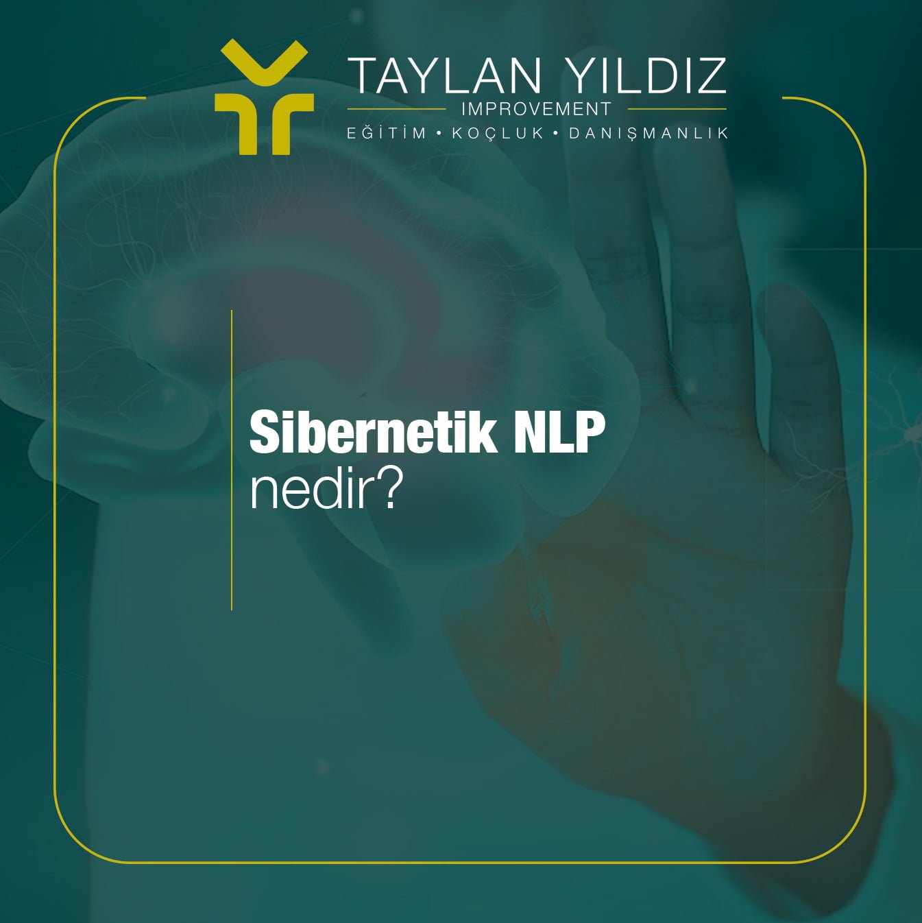 Sibernetik Nlp Nedir
